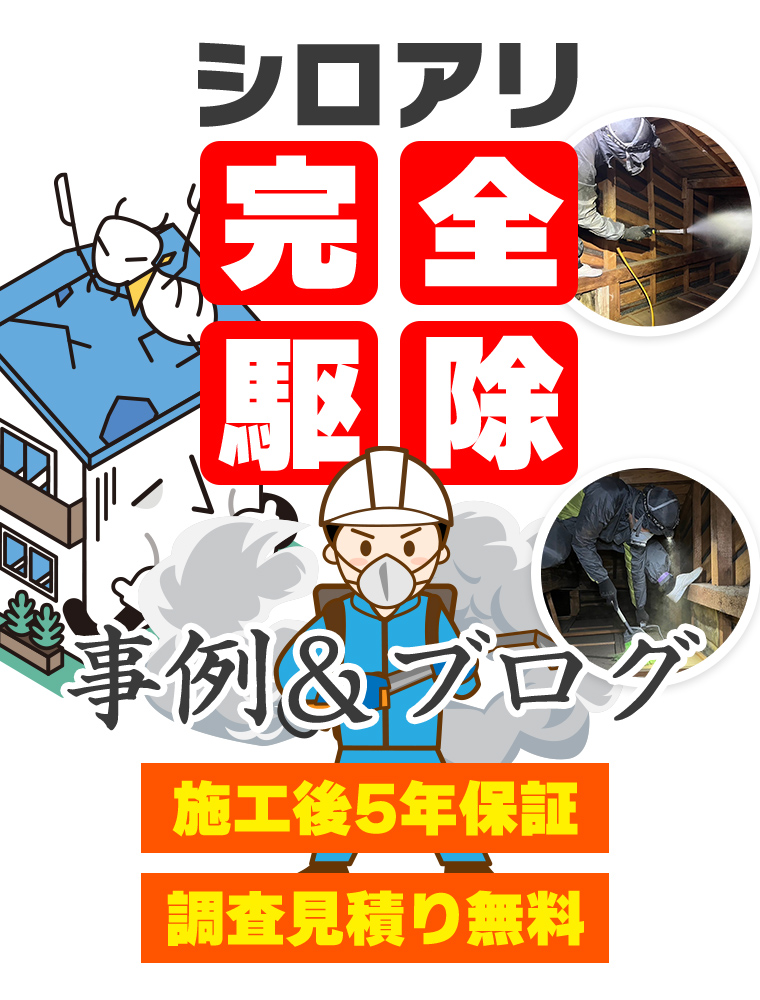 シロアリ駆除完全駆除 建物のプロの除去作業!! 施工後5年後保証 調査見積り無料