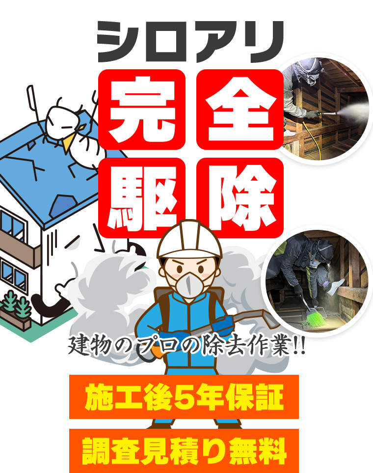 シロアリ駆除完全駆除 建物のプロの除去作業!! 施工後5年後保証 調査見積り無料