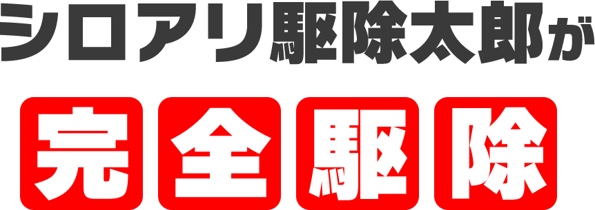 シロアリ駆除太郎が完全駆除