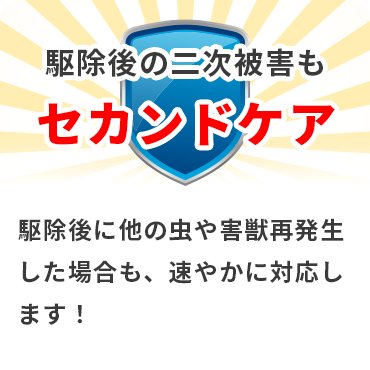 駆除後の二次被害も セカンドケア 駆除後に他の虫や害獣再発生した場合も、速やかに対応します！