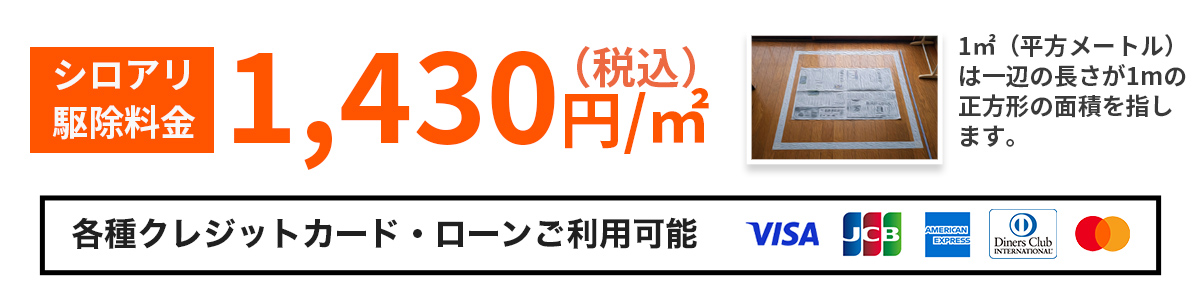 シロアリ駆除 1430円/㎡ 各種クレジットカード・ローンご利用可能